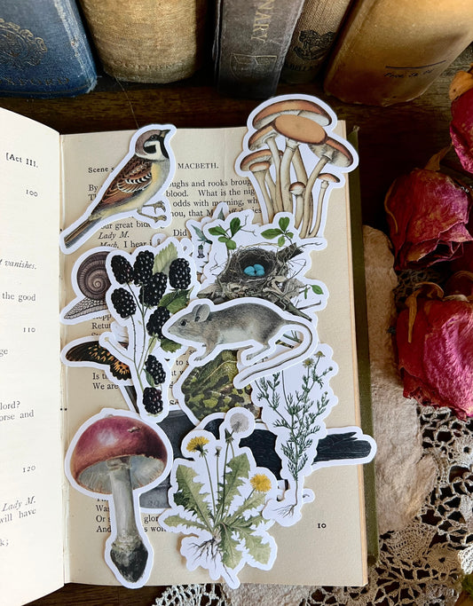 The Witch's Garden - 14 matte vinyl stickers