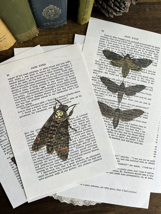 Set of 8 moth prints on Jane Eyre book pages