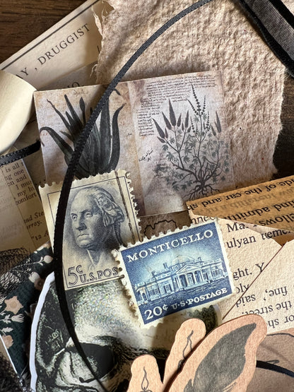 Cabinet of Shadows - gothic horror ephemera tin
