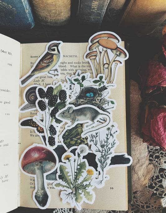 The Witch's Garden - 14 matte vinyl stickers