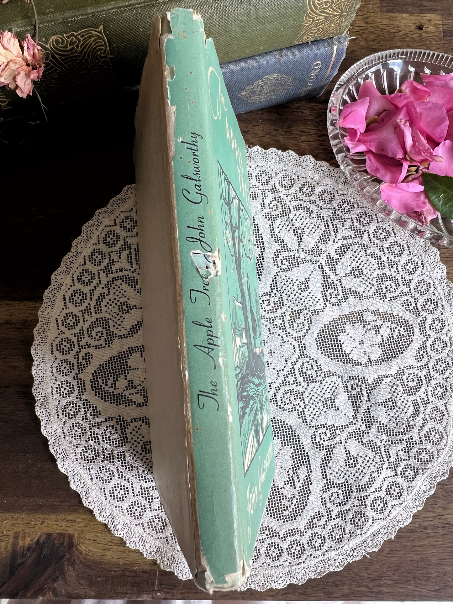 The Apple Tree by John Galsworthy vintage 1939 hardcover