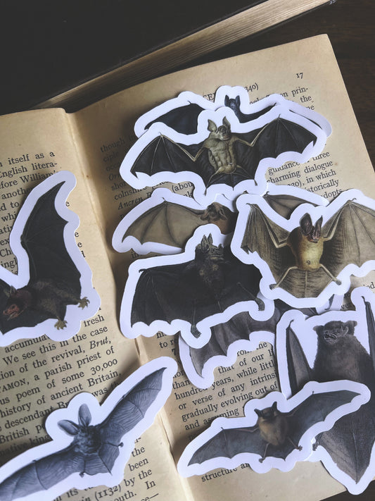Bats - vinyl stickers