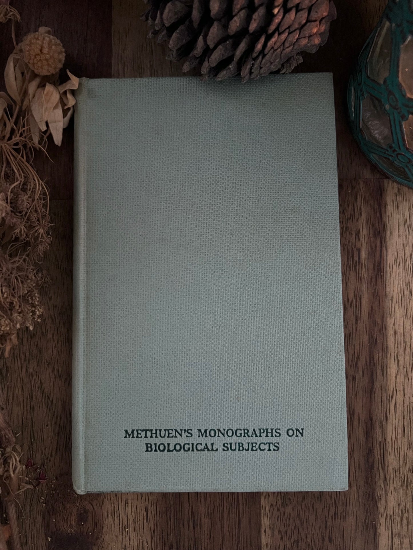 Insect Physiology - V. B. Wigglesworth - Vintage Book