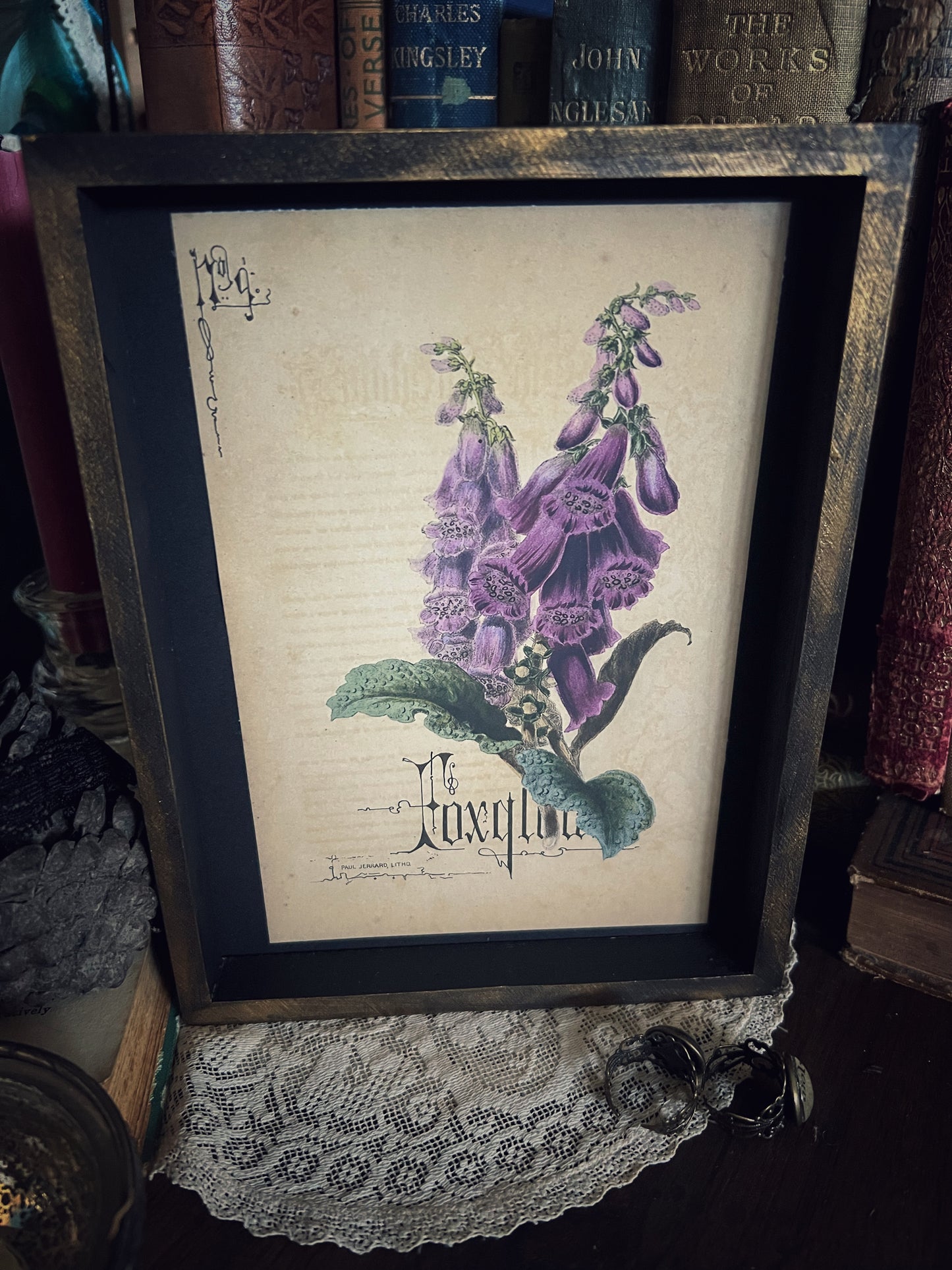 Foxglove - Framed Print