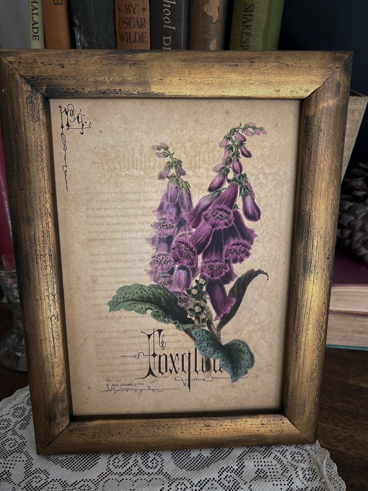 Foxglove - Framed Print