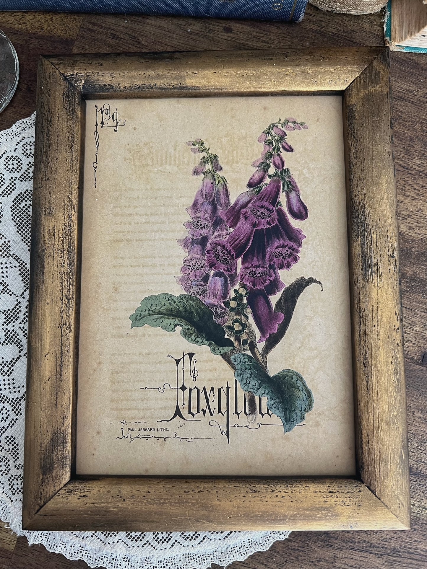 Foxglove - Framed Print