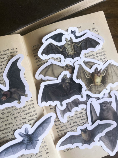 Bats - vinyl stickers