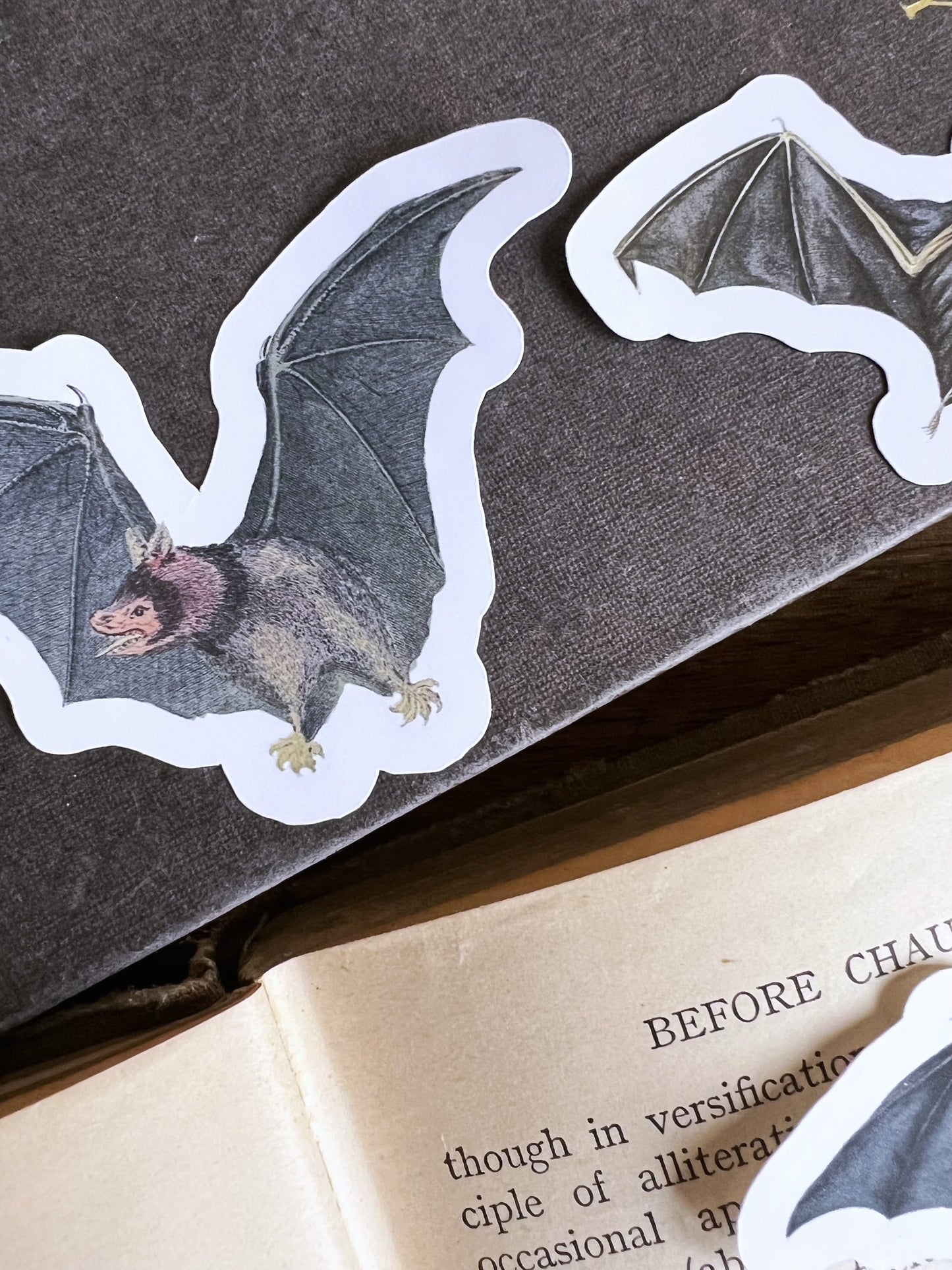 Bats - vinyl stickers