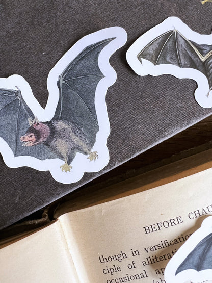 Bats - vinyl stickers