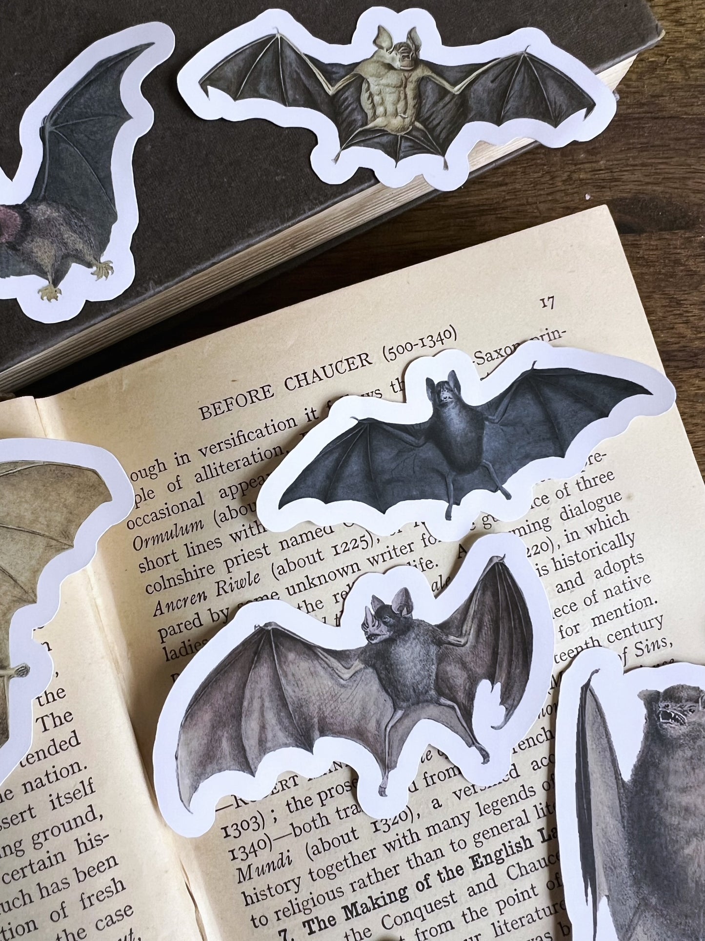 Bats - vinyl stickers