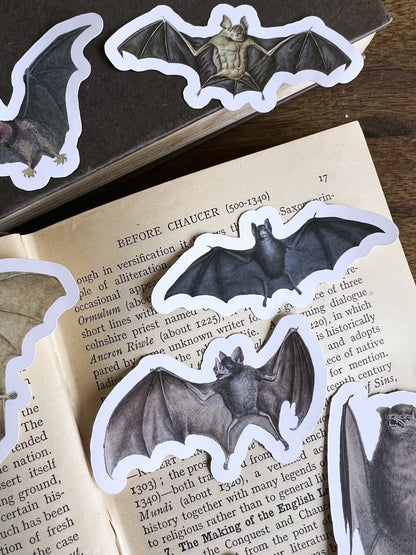 Bats - vinyl stickers