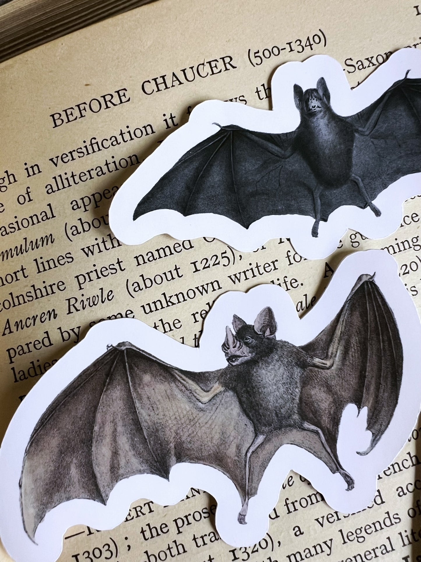 Bats - vinyl stickers