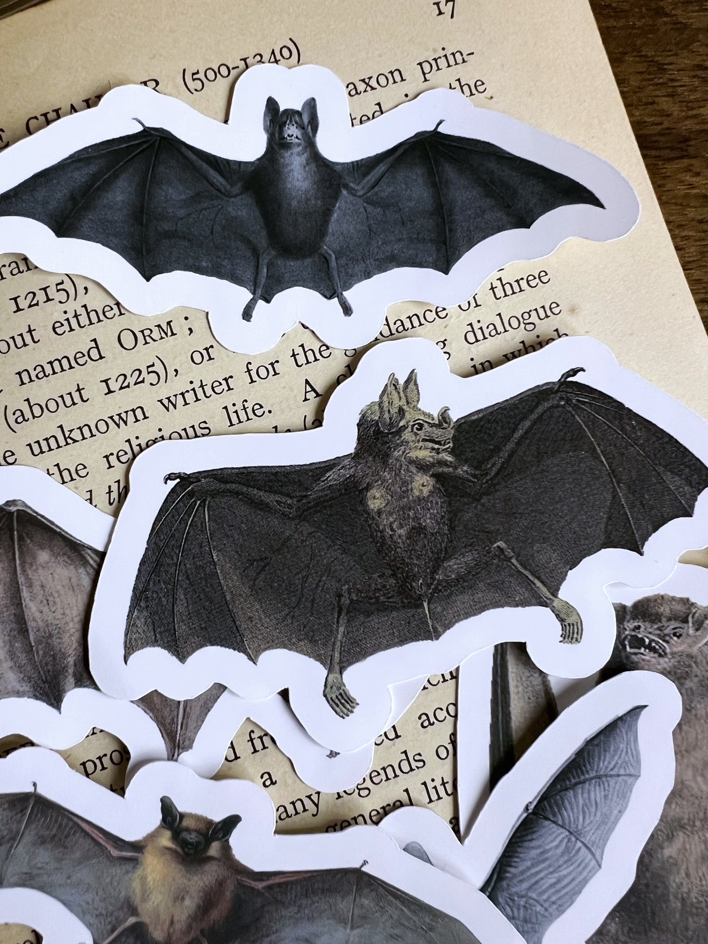 Bats - vinyl stickers