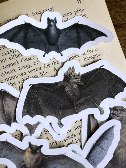 Bats - vinyl stickers