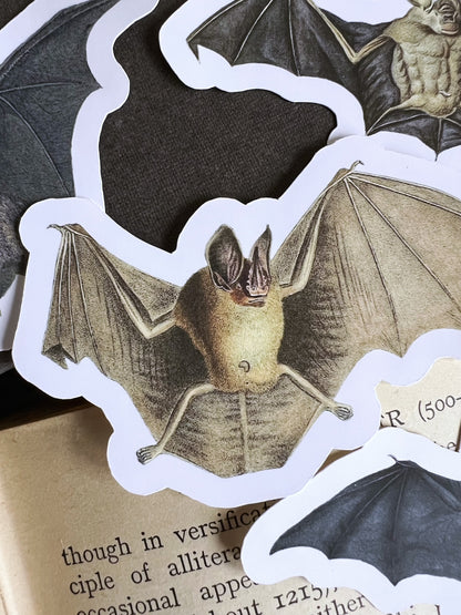 Bats - vinyl stickers