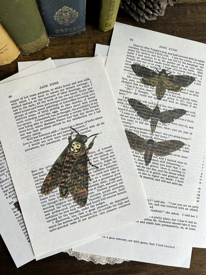 Set of 8 moth prints on Jane Eyre book pages