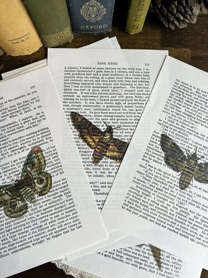 Set of 8 moth prints on Jane Eyre book pages