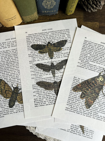 Set of 8 moth prints on Jane Eyre book pages