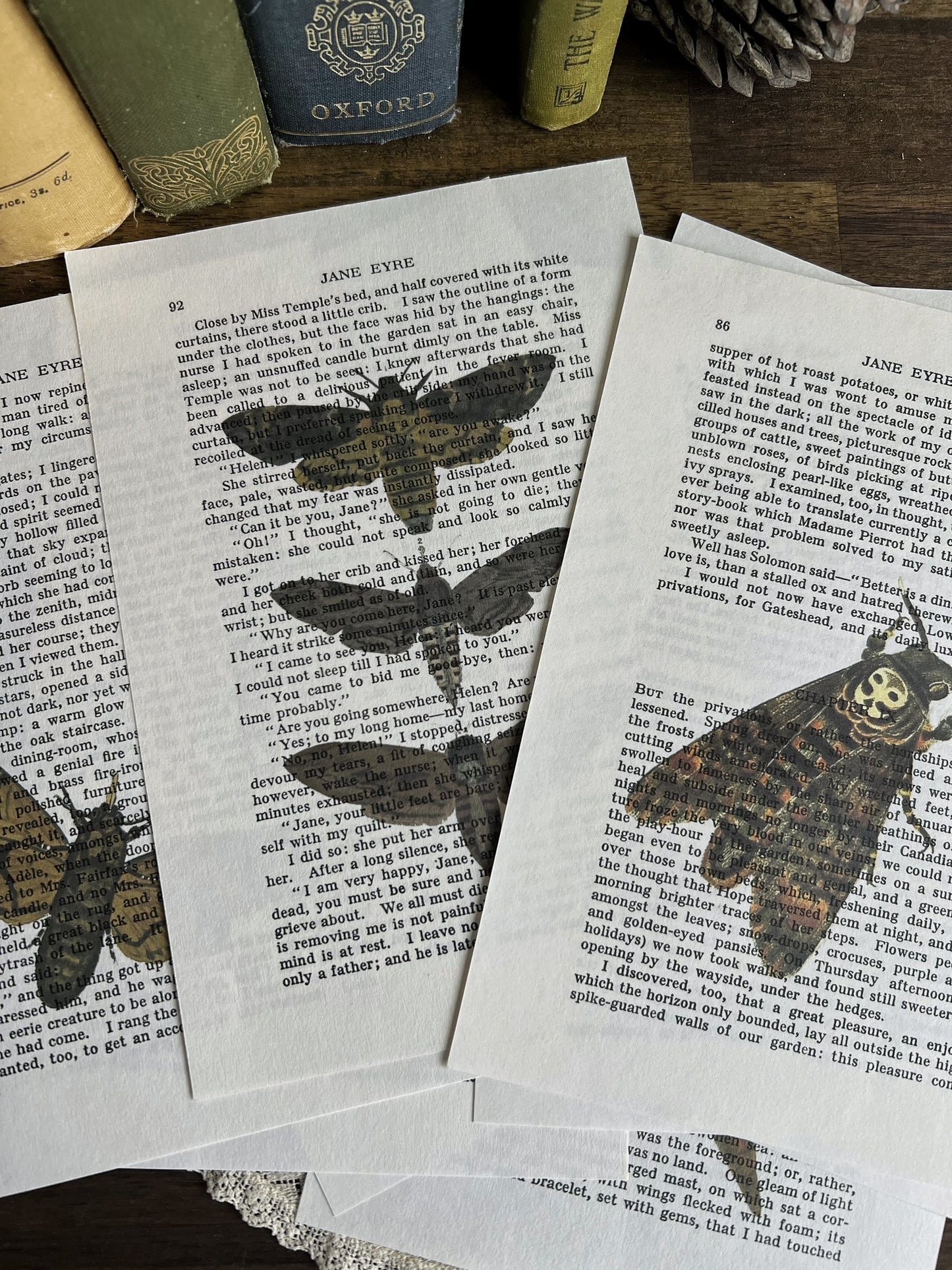Set of 8 moth prints on Jane Eyre book pages