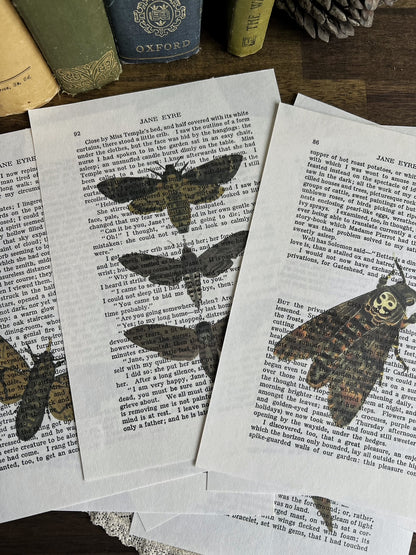 Set of 8 moth prints on Jane Eyre book pages