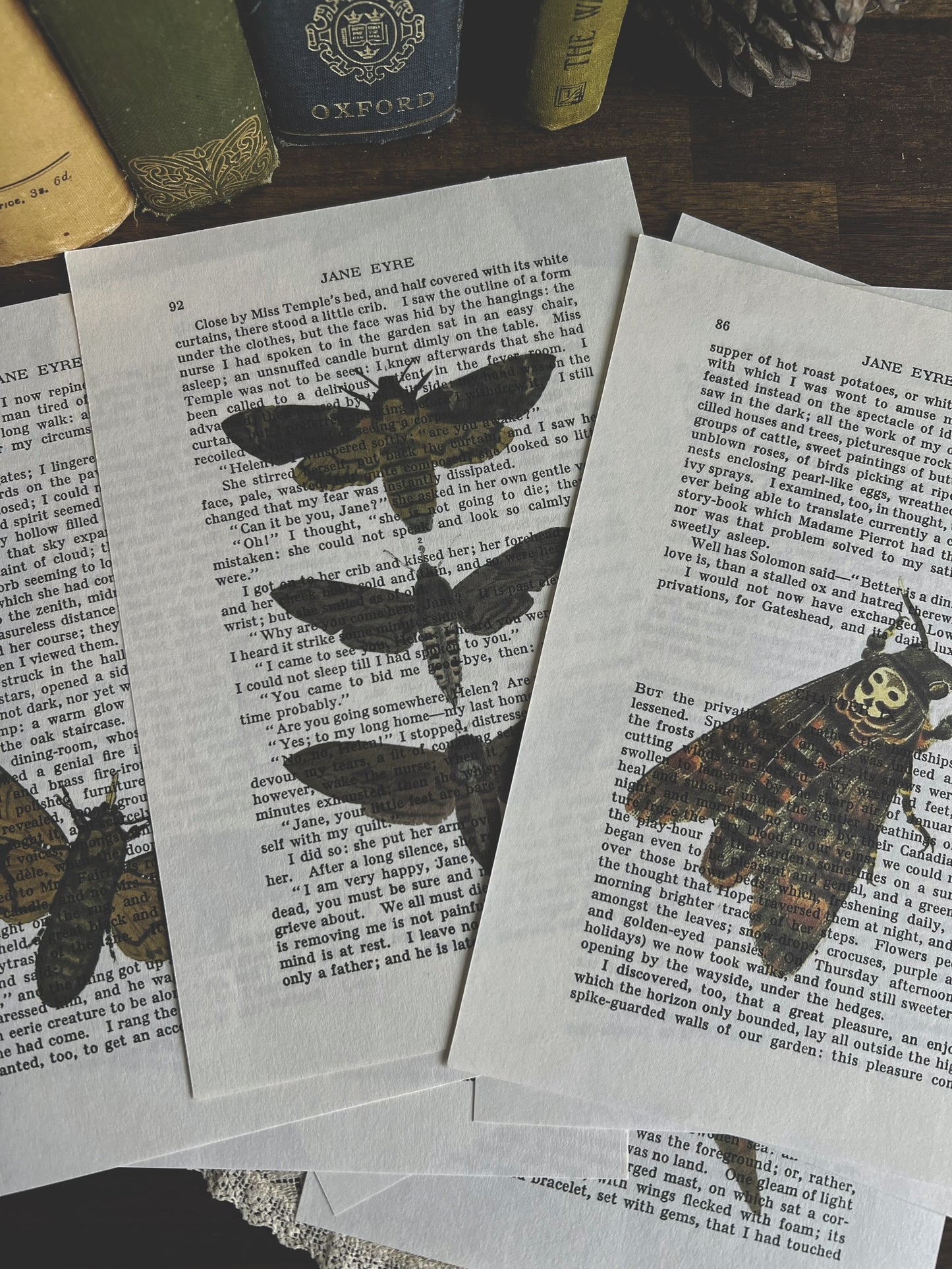Set of 8 moth prints on Jane Eyre book pages