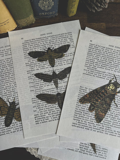 Set of 8 moth prints on Jane Eyre book pages