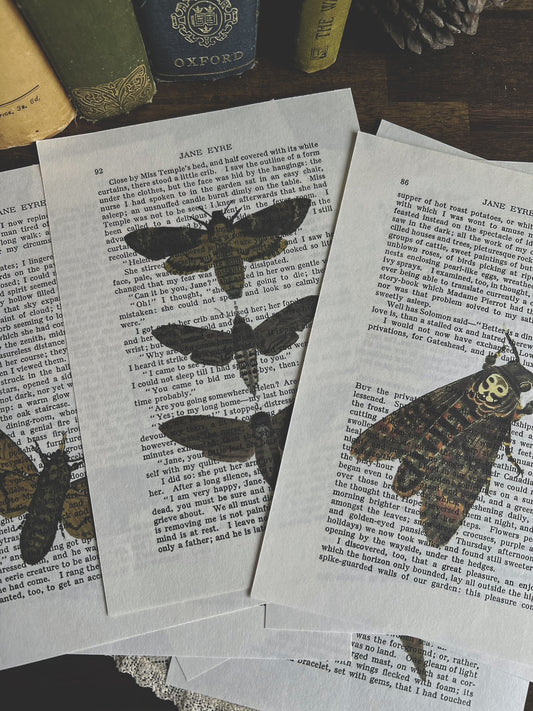Set of 8 moth prints on Jane Eyre book pages