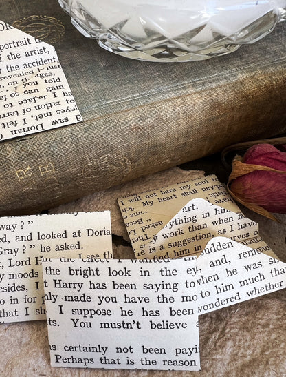 The Picture of Dorian Gray - Mini Envelopes