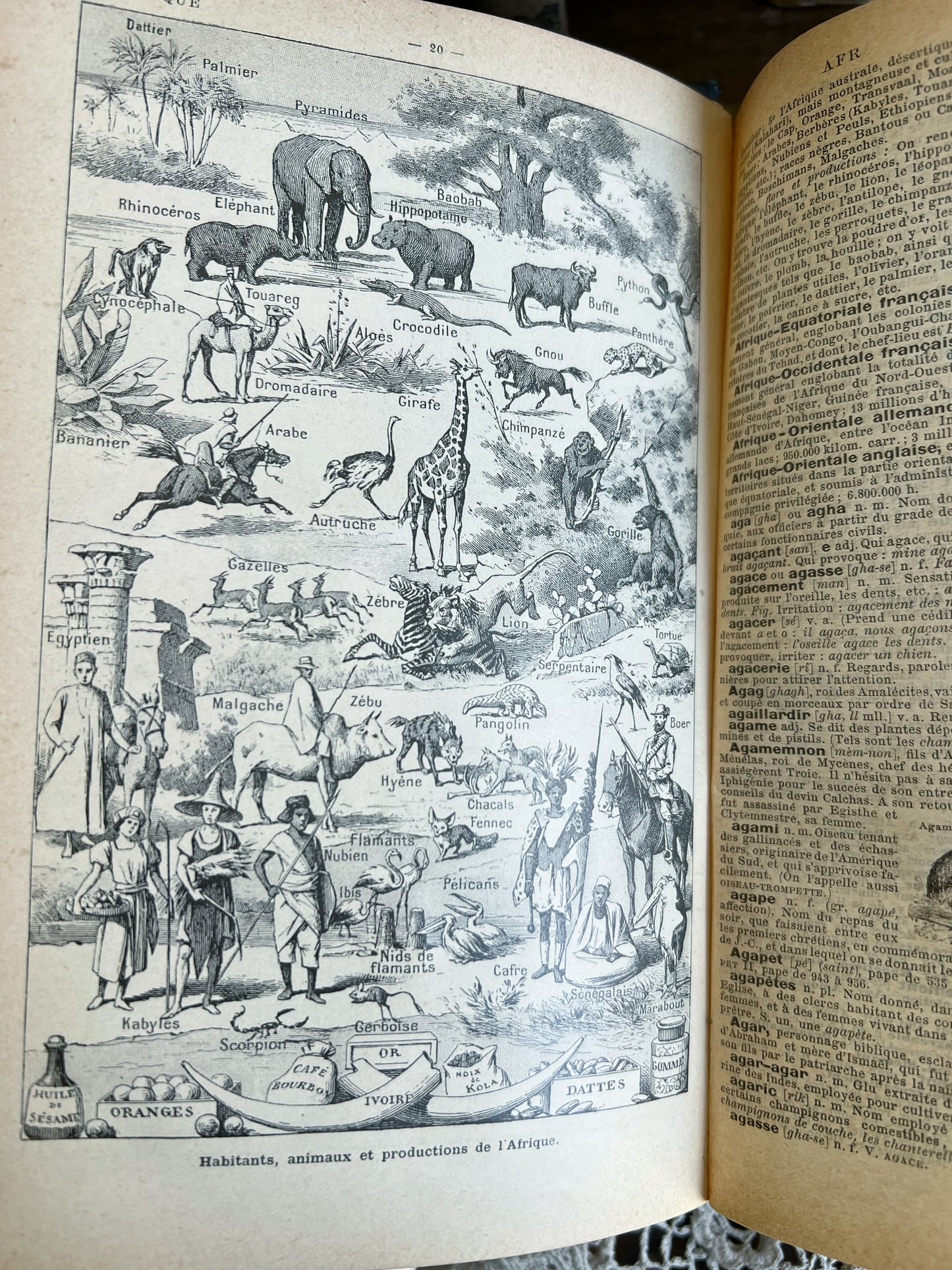 Antique 1912 French Larousse Dictionary - Larousse Classique Illustré