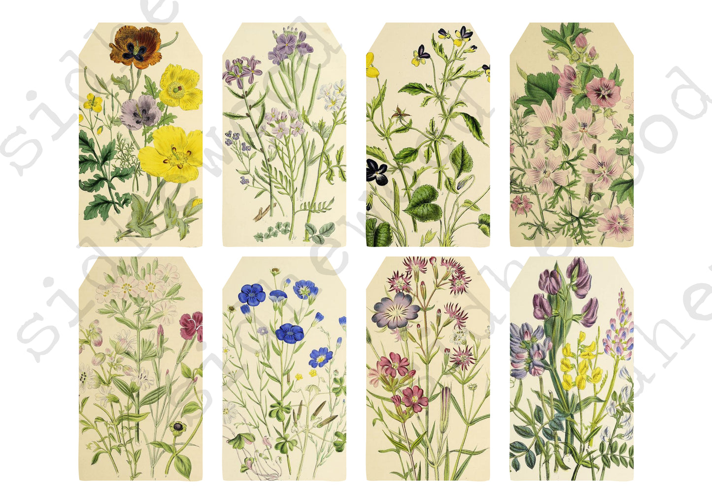 Wildflowers Tags - digital download (printable file)