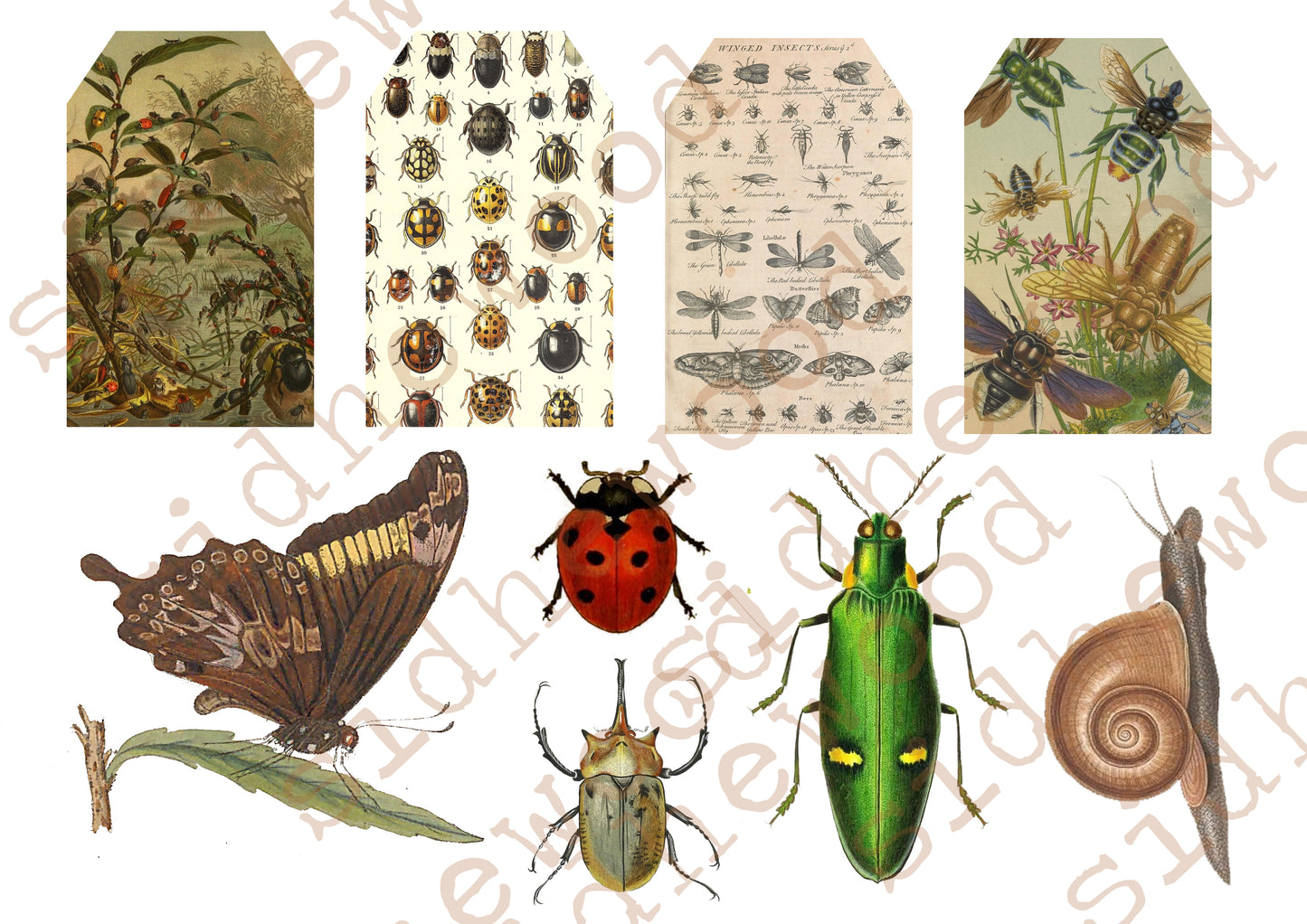 bugs & beasties - digital download (printable file)