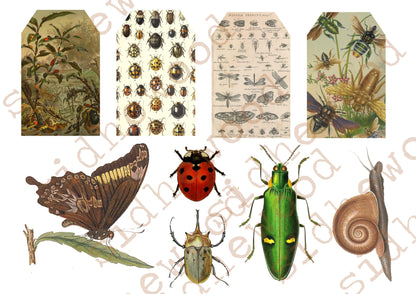 bugs & beasties - digital download (printable file)
