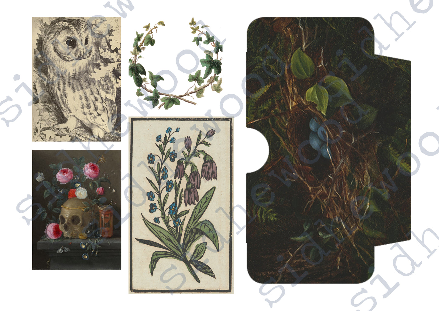 Dark Forest - digital download (printable file)
