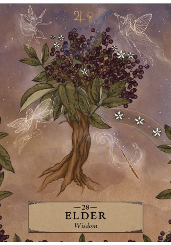 The Herbal Astrology Pocket Oracle