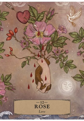 The Herbal Astrology Pocket Oracle