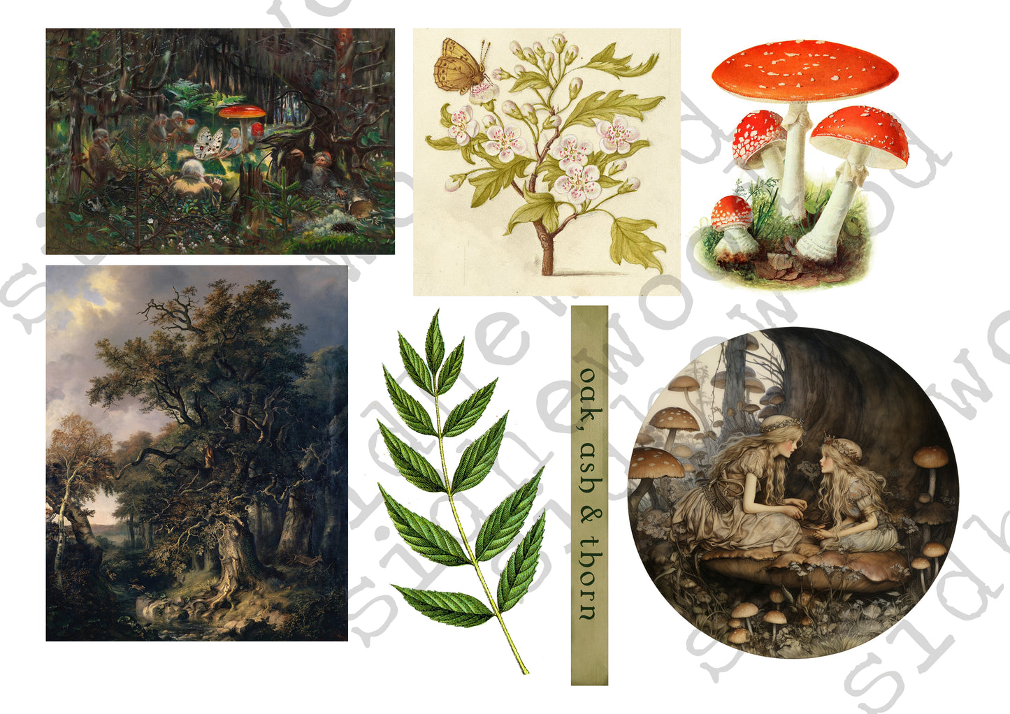 Fairyland - digital download (printable file)
